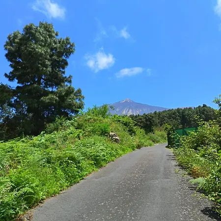 Dom wakacyjny El Sanguino