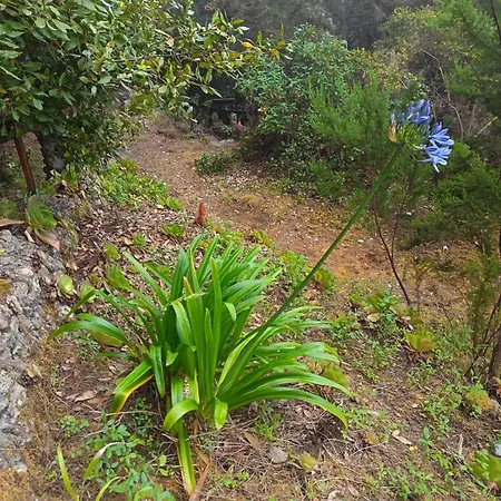 El Sanguino 度假居